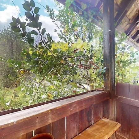 Evasion Nature * Rimbach-pres-Masevaux