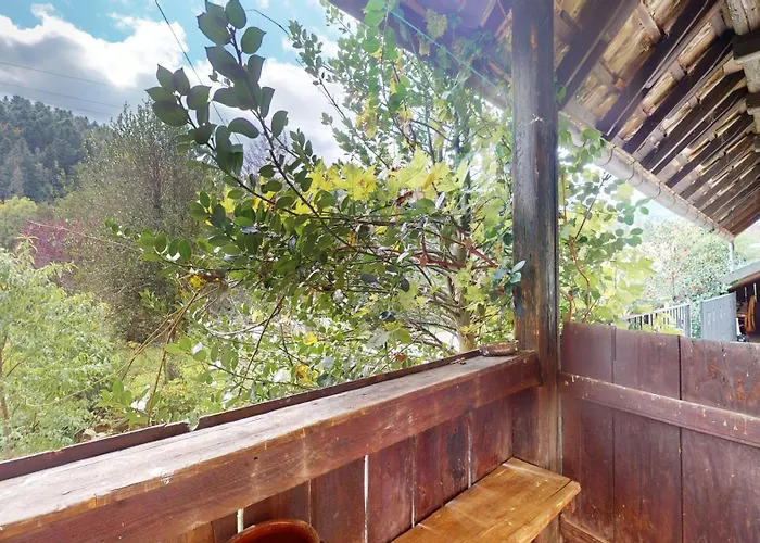 Evasion Nature * Rimbach-pres-Masevaux