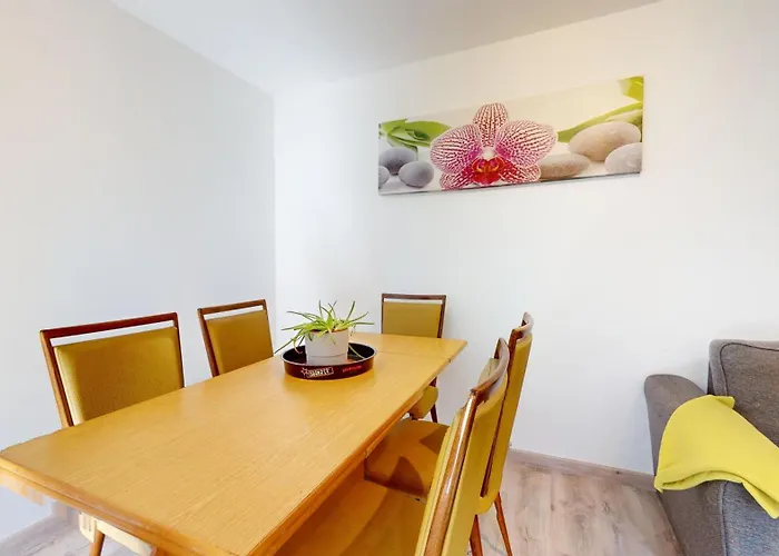 Evasion Nature Apartment Rimbach-pres-Masevaux